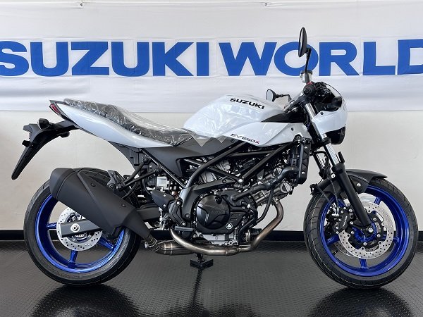 2025年モデル SV650X スズキワールド船橋展示車画像.JPG