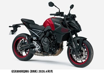 GSX800RQM6_BNR_1.jpg