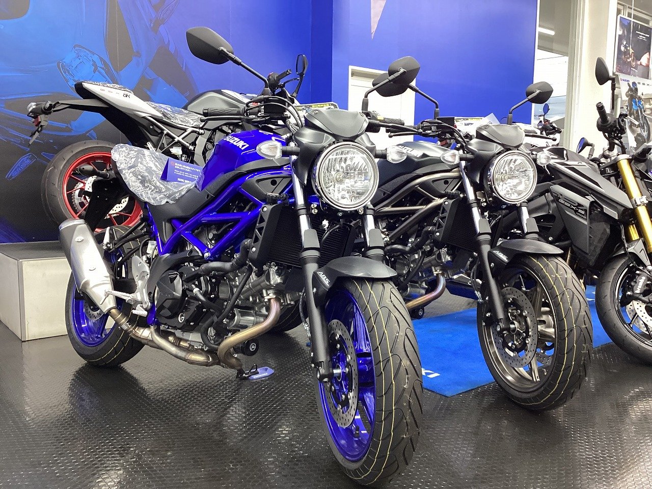 SV,DL画像20260123IMG_1865 (1).jpg