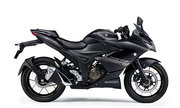 productdetailimg_gsx250frlm3_ykv.jpg