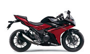 productdetailimg_gsx250rrljm3_bkj.jpg