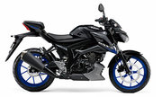 productdetailimg_gsxs125rlxm3_YVU.jpg