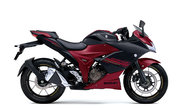 productdetailimg_gsx250frlm5_cuu.jpg