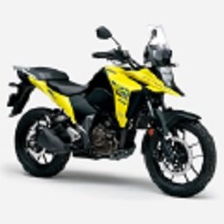 DS250RLM_YU1-100.jpg