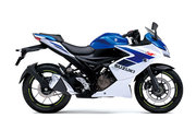 productdetailimg_gsx250frlm5_agq.jpg