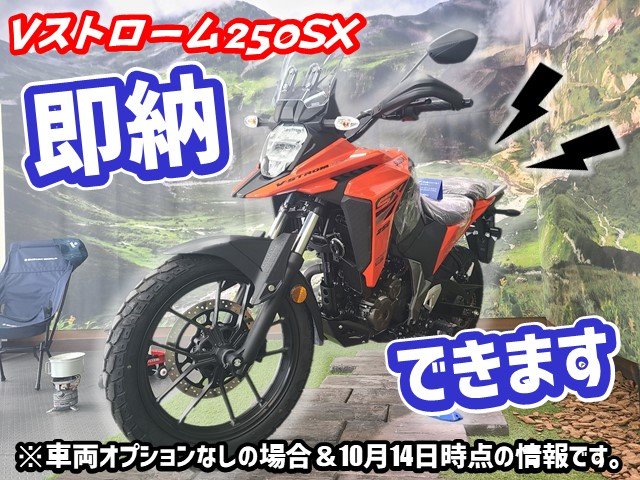 Vスト250SX.jpg