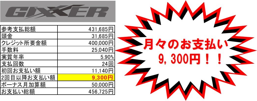 ジクサー150月々.jpg