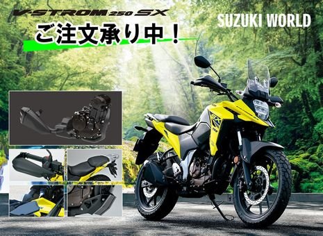 ころちゃん 250 DS250R-2.jpg
