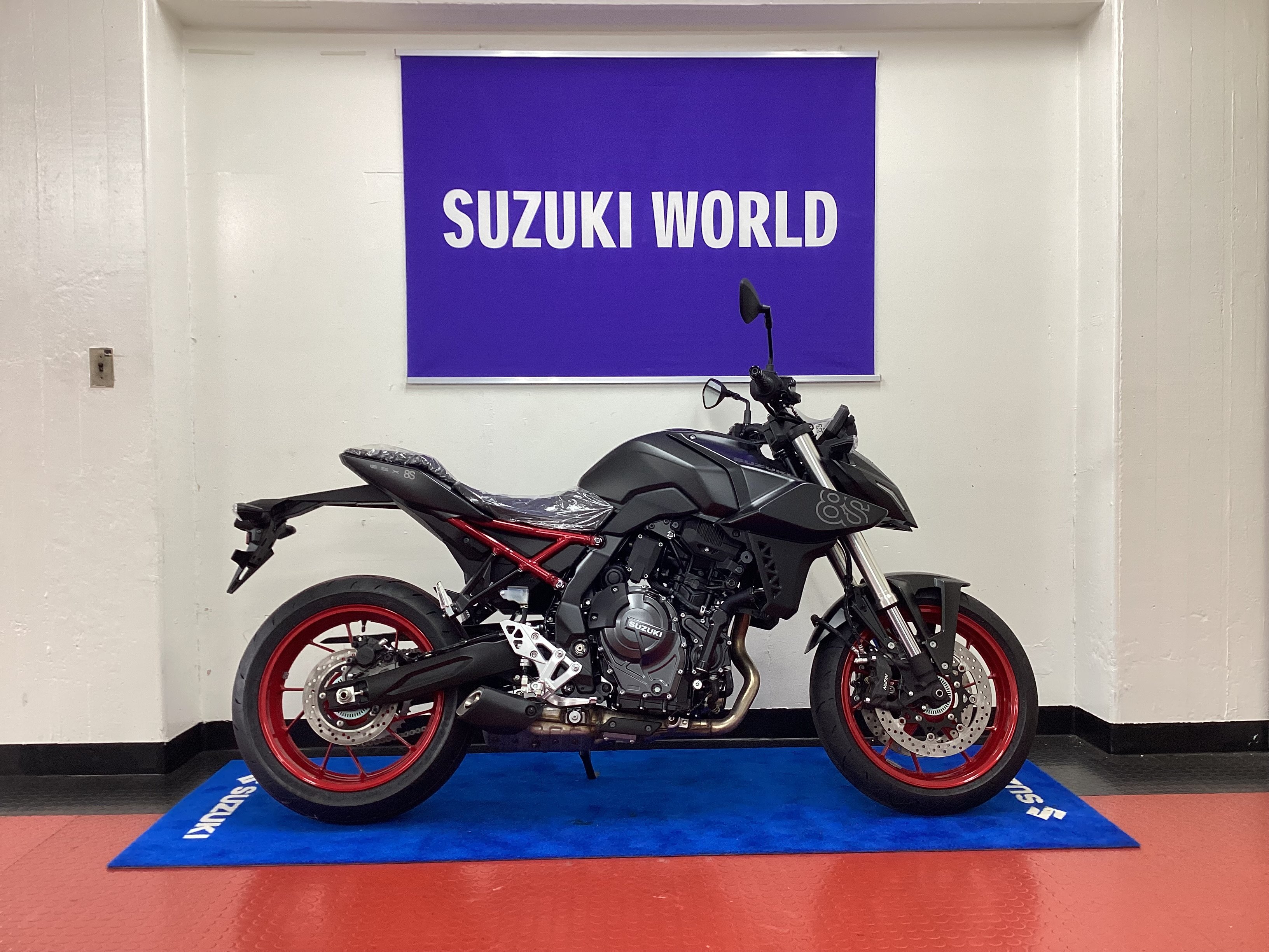 GSX-8S .JPG