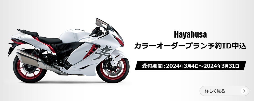 好評につき再び！】Hayabusaカラーオーダープラン