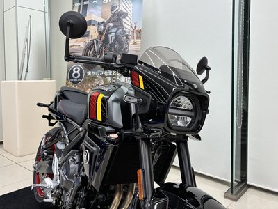 GSX-8TT ライト.jpeg