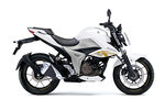 productdetailimg_gsx250rlm6_ddg.jpg