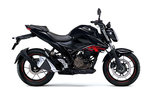 productdetailimg_gsx250rlm6_yvb.jpg