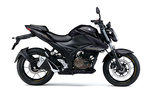 productdetailimg_gsx250rlm5_ykv.jpg